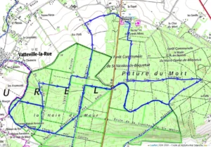 13km -Les Déjantés d'Arelaune-