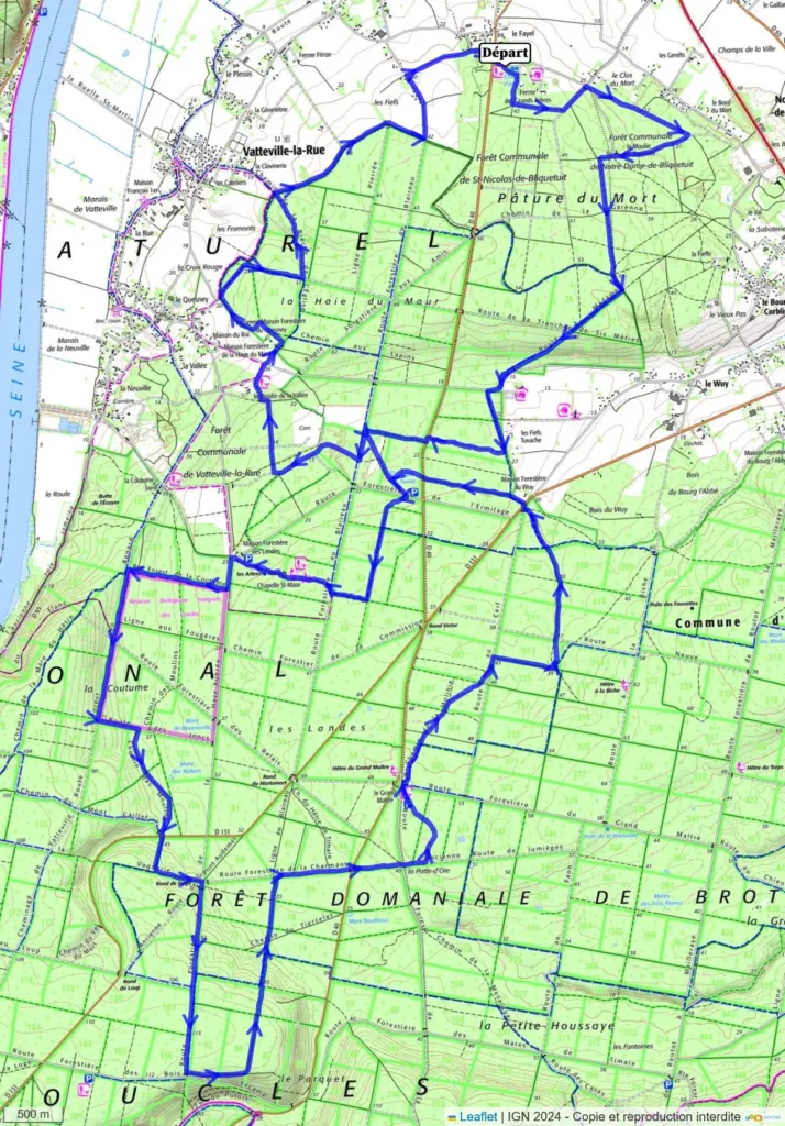 33km v.2 -Les Déjantés d'Arelaune-